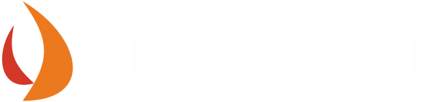 VELA DIGITAL LLC